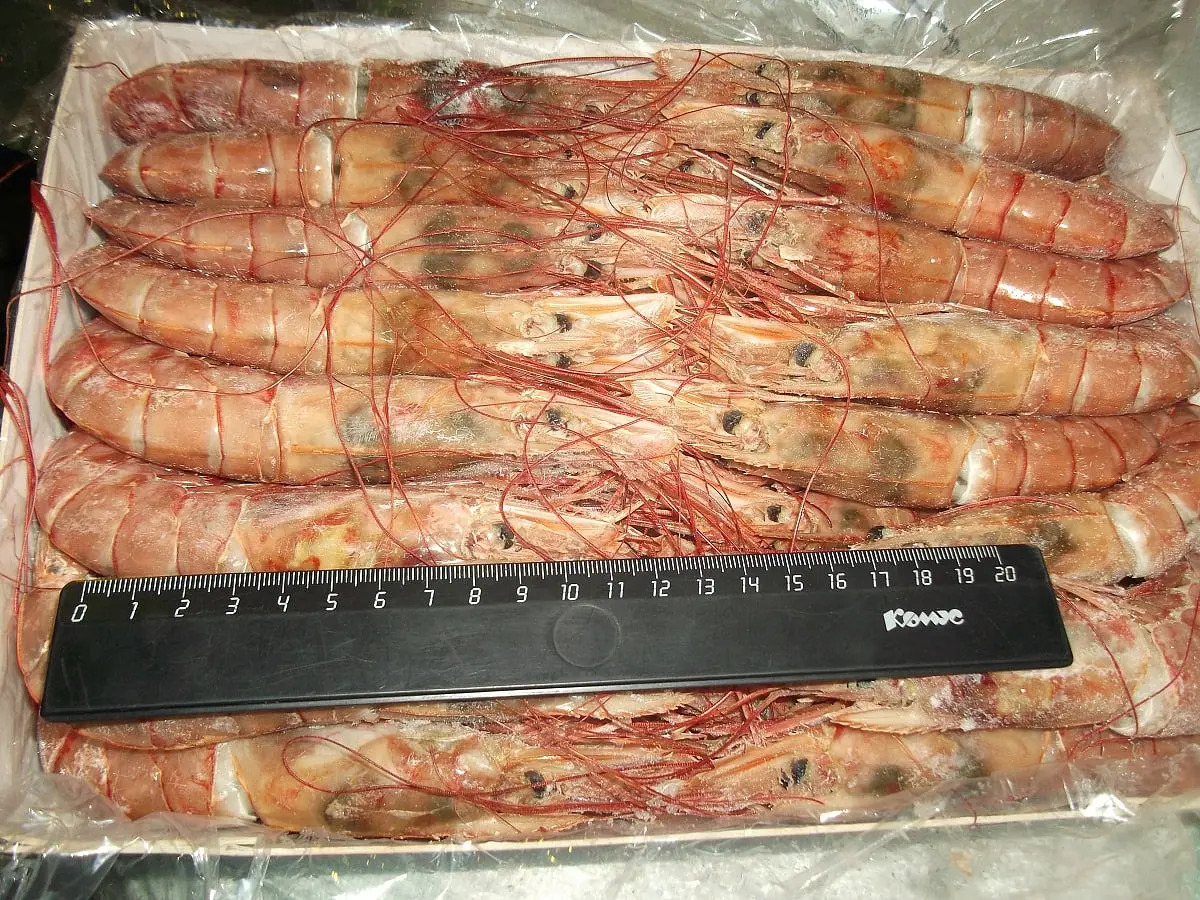 Лангустины (креветки красные Аргентинские) с/м, с/г, L2 (21-30) 2 кг