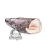Сибас чилийский (Клыкач патагонский) тушка 5-6кг