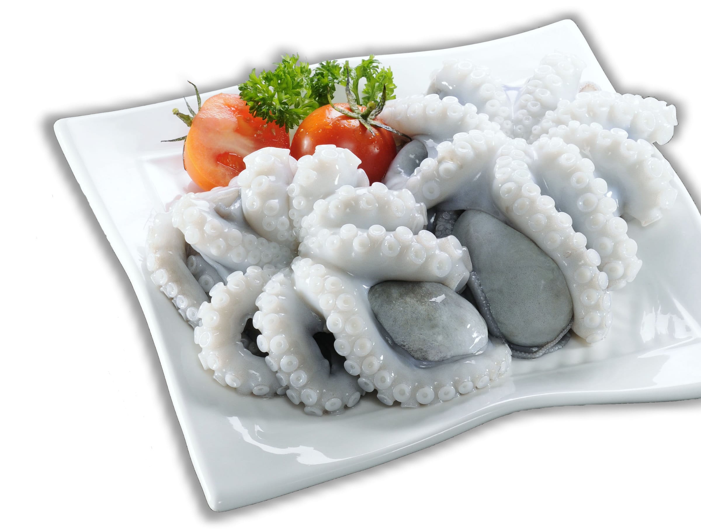 Осьминог - купить осьминога в Москве