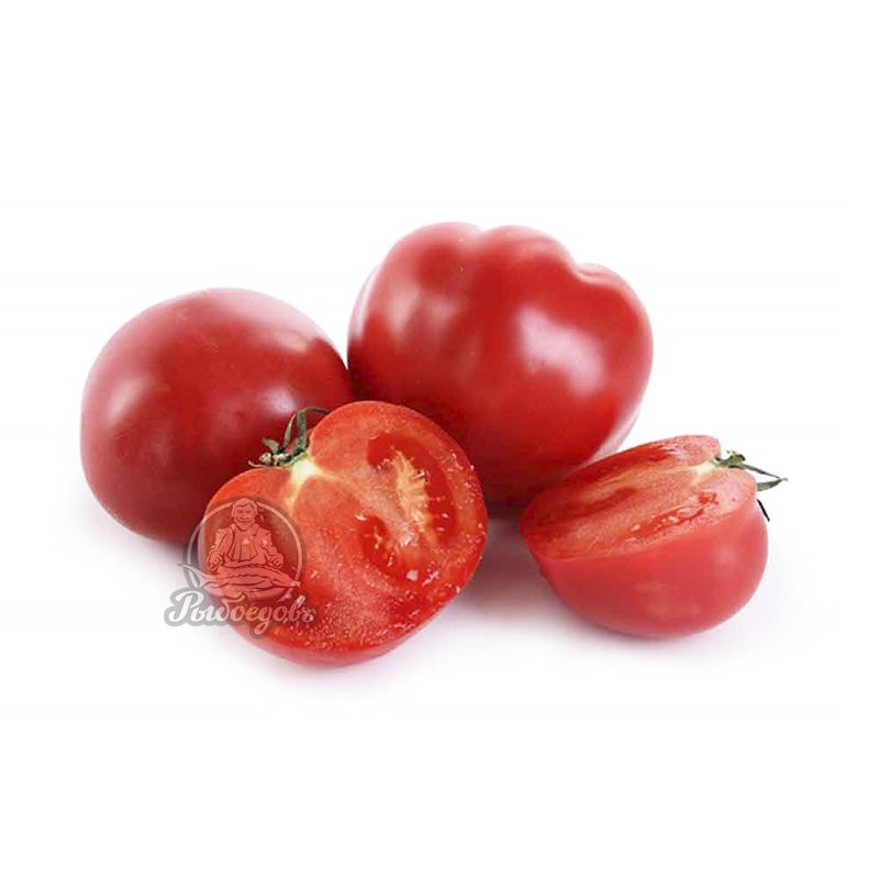 Мы рады сообщить Вам о новом поступлении томатов на любой вкус ! Мы рады сообщить Вам о новом поступлении томатов на любой вкус !