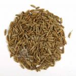 Зира семя (Индия)