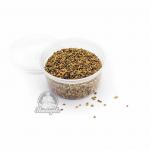 Пыльца пчелы Пыльца пчелы