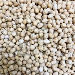 Нут отборный средний Азербайджан Нут отборный средний Азербайджан