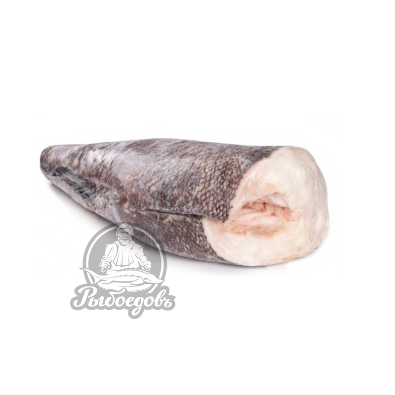 Сибас чилийский (Клыкач патагонский) замороженный тушка 5-6кг