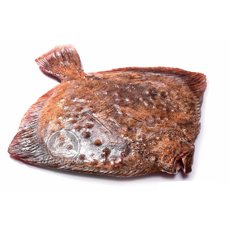 Камбала – чистка и разделка рыбы