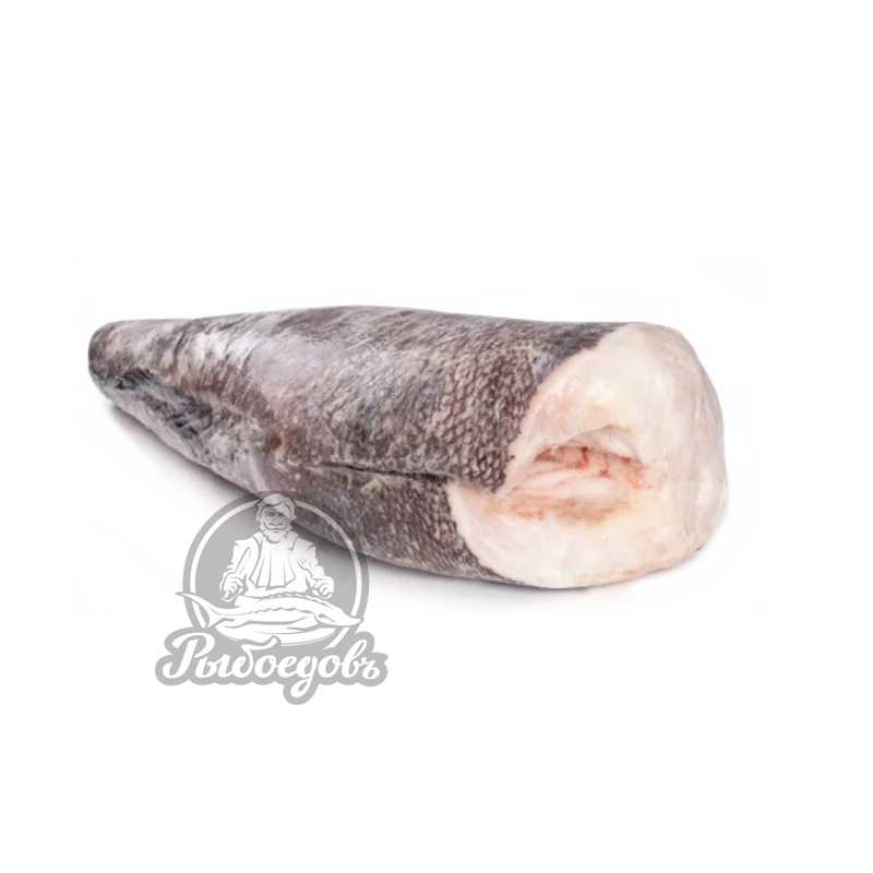 Сибас чилийский (Клыкач патагонский) тушка 5-6кг Сибас чилийский (Клыкач патагонский) тушка 5-6кг