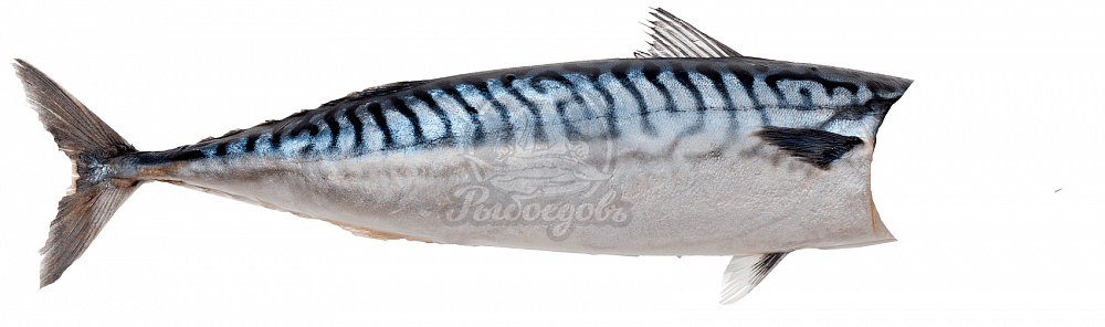 Скумбрия без головы. 200-300 Скумбрия без головы. 200-300