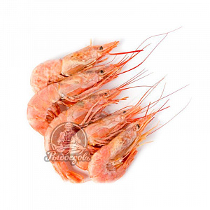 Лангустина креветка целая 11-20 L1 2кг Лангустина креветка целая 11-20 L1 2кг