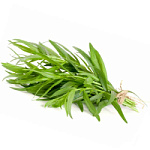 Тархун свежий Тархун свежий