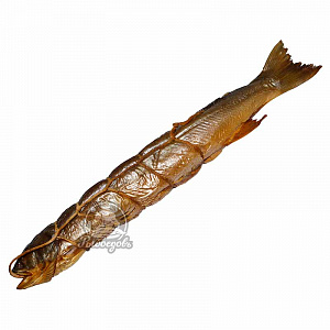 Голец горячего копчения 1-1,5кг