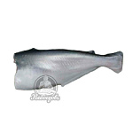 Пангасиус тушка (Морской язык) 800-1000гр Пангасиус тушка (Морской язык) 800-1000гр