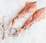 Кальмар лолиго Кальмар лолиго