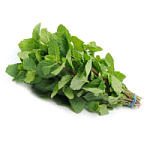 Мята свежая Мята свежая