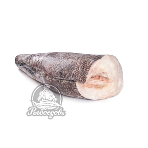 йский (Клыкач патагонский) замороженный тушка 5-6кг йский (Клыкач патагонский) замороженный тушка 5-6кг