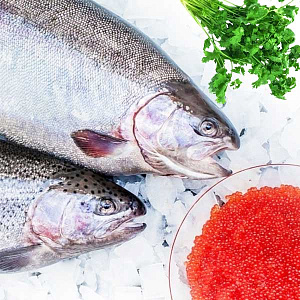 Форель непотрошеная, морская, охлажденная 2-3кг с икрой (Поступление среда, суббота) Форель непотрошеная, морская, охлажденная 2-3кг с икрой (Поступление среда, суббота)