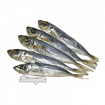 Ставрида Черноморская вяленая Ставрида Черноморская вяленая