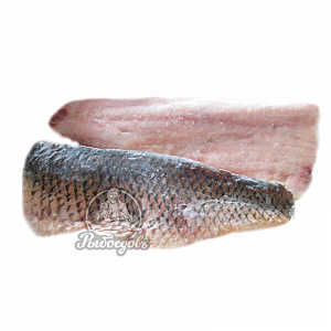 Сазан филе н/ш (1/12)