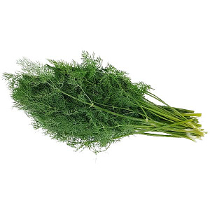 Укроп свежий
