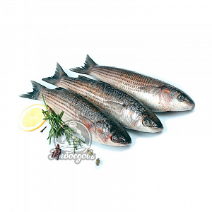 Кефаль н/р 0,5-1,0 (1/12)