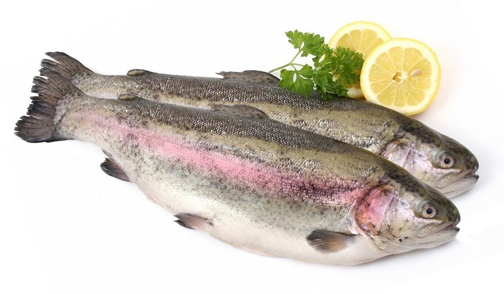 Форель охлажденная  Карелия premium 3-4 кг