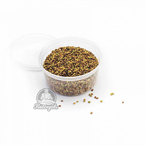 Пыльца пчелы Пыльца пчелы