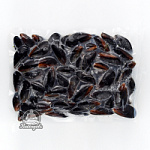 Мидии на двух створках Мидии на двух створках