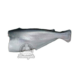 Пангасиус тушка (Морской язык) 800-1000гр Пангасиус тушка (Морской язык) 800-1000гр