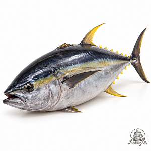 Тунец Yellowfin  ( Индонезия) Целый 45 кг+.