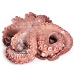 Осьминог свежемороженый Индонезия 2-3 кг