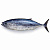 Тунец Yellowfin  ( Индонезия) Целый 45 кг+.