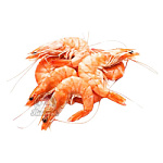 Креветка королевская с головой 40-60 5кг Креветка королевская с головой 40-60 5кг