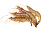 Тигровая креветка, с головой 13/15 Тигровая креветка, с головой 13/15