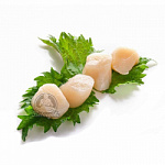 Гребешок морской, филе 10-20шт/кг, 300гр 2024г Гребешок морской, филе 10-20шт/кг, 300гр 2024г