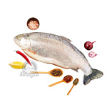 Форель морская охлажденная с головой 2-3кг (Мурманск) Форель морская охлажденная с головой 2-3кг (Мурманск)