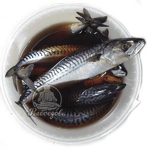 Скумбрия пряного посола в ведре 5кг Скумбрия пряного посола в ведре 5кг