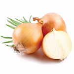 Лук свежий Узбекистан