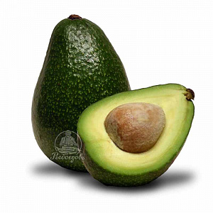 Авокадо