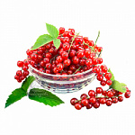 Смородина красная свежая 1кг (Поступление каждое утро) Смородина красная свежая 1кг (Поступление каждое утро)