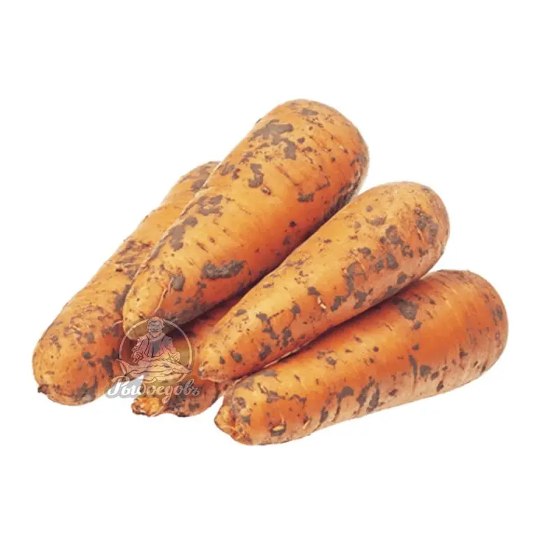 Морковь немытая 1кг