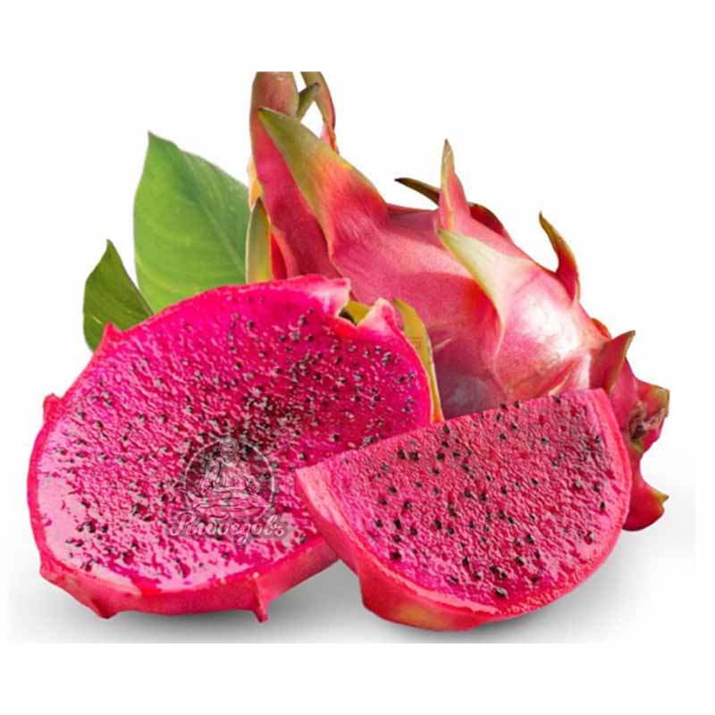 Красный дракон Красный дракон