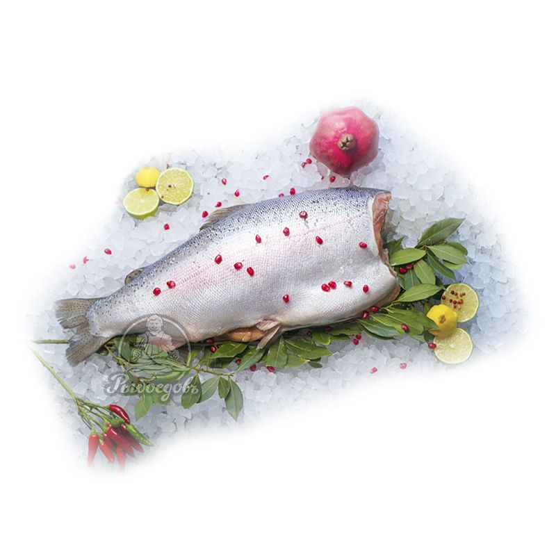 Форель  замороженная без головы 2-4кг (Турция) Форель  замороженная без головы 2-4кг (Турция)