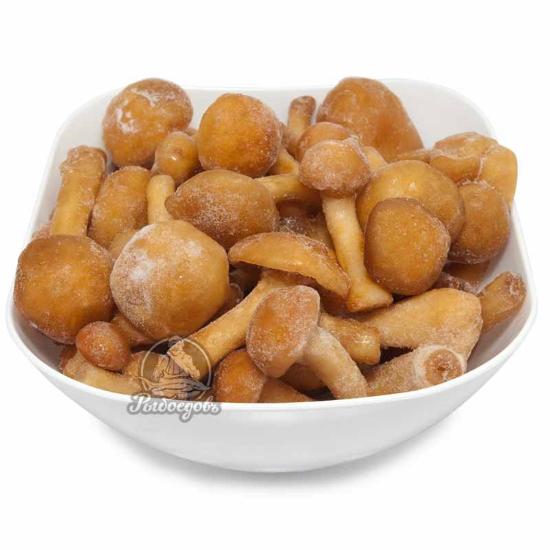 Опята замороженные Опята замороженные