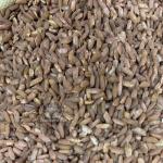 Рис для плова красный «кыргызстан девзира» Рис для плова красный «кыргызстан девзира»