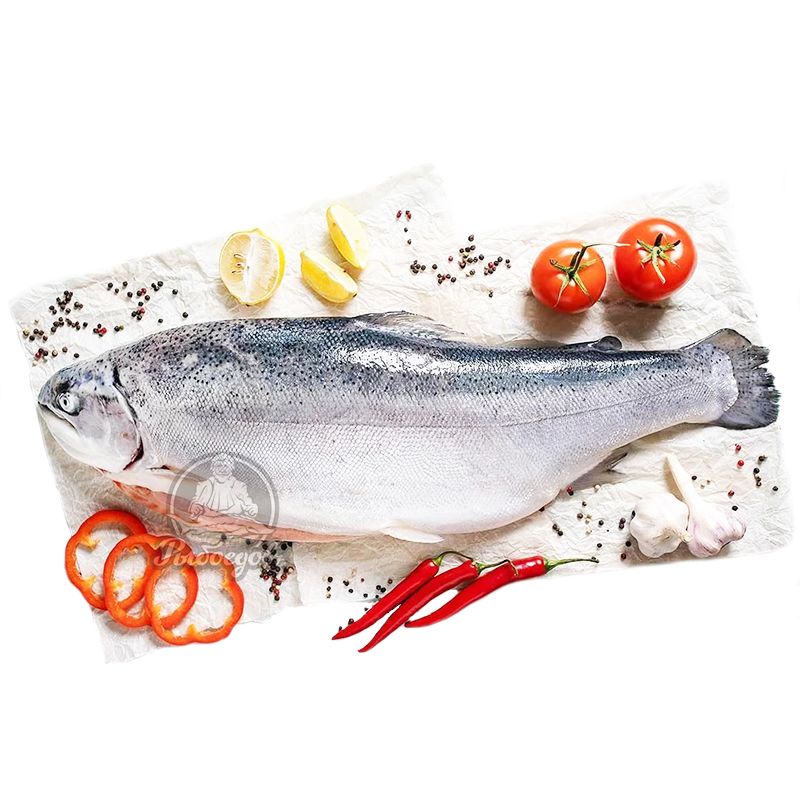 Форель морская охлажденная с головой 4-5кг (Мурманск) Форель морская охлажденная с головой 4-5кг (Мурманск)