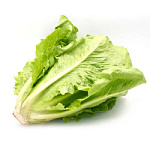 Салатные листья Романо 500гр+ Салатные листья Романо 500гр+