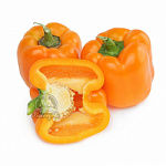 Перец оранжевый свежий Перец оранжевый свежий