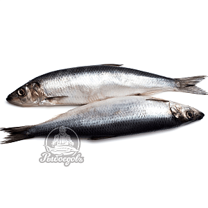 Салака замороженная с головой 16-18см Салака замороженная с головой 16-18см