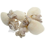 Каракатица замороженная 40/60 Вьетнам Каракатица замороженная 40/60 Вьетнам