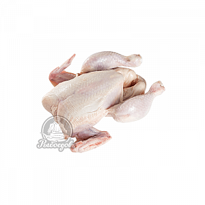 Цыплята охлажденные Цыплята охлажденные