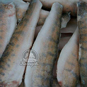 Судак филе Судак филе